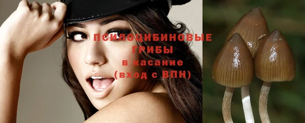 индика Алексеевка