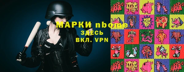 индика Алексеевка