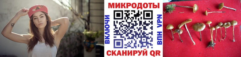 Галлюциногенные грибы Psilocybe  Белгород 